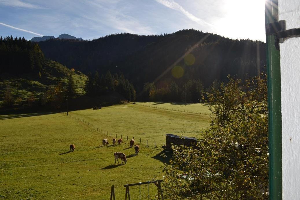 Ferienwohnungen Foidlhof Hochfilzen Exteriér fotografie