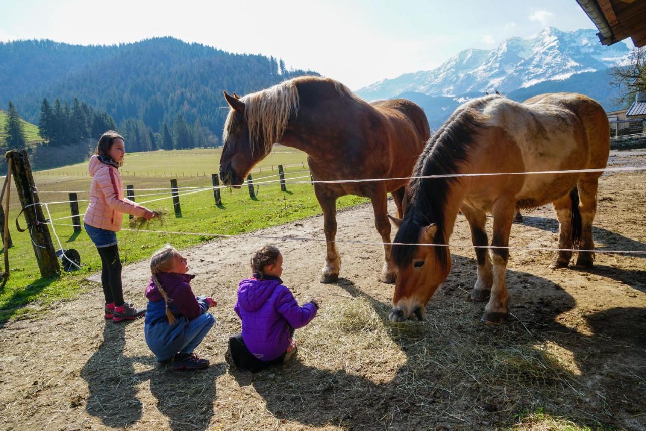 Ferienwohnungen Foidlhof Hochfilzen Exteriér fotografie