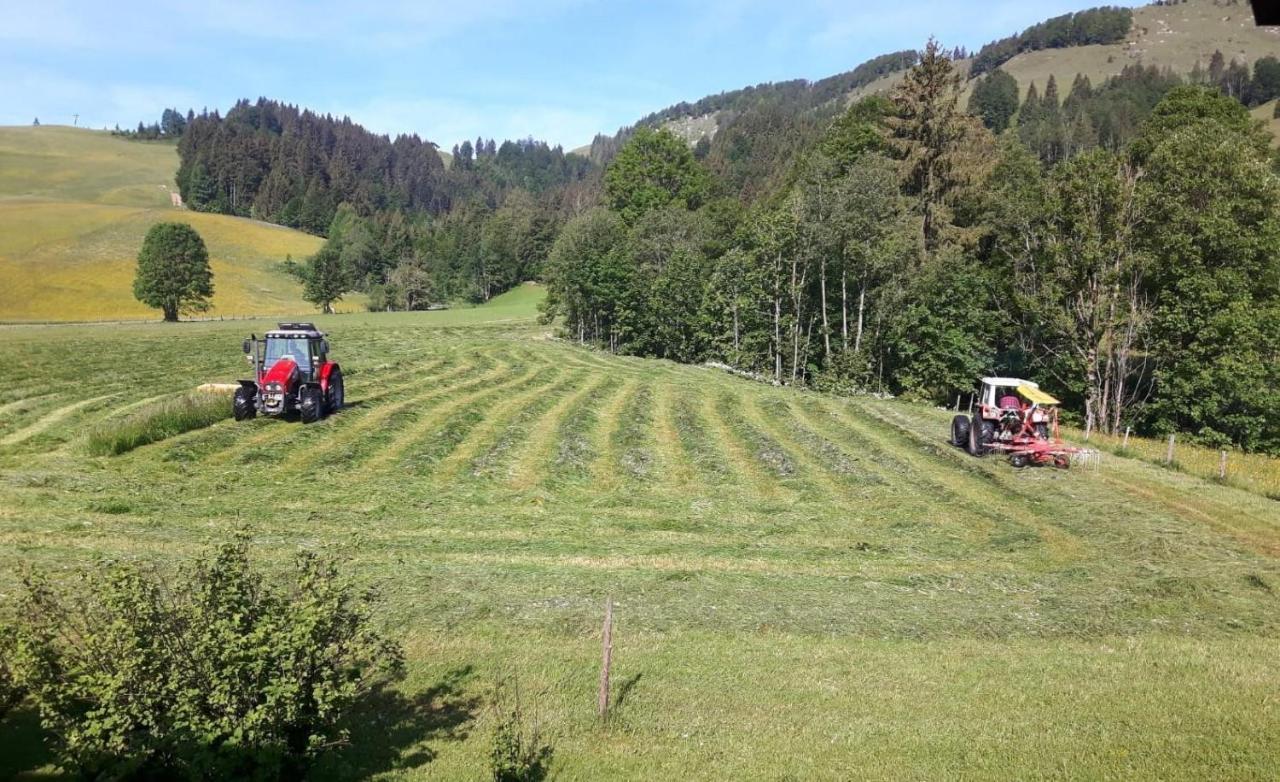 Ferienwohnungen Foidlhof Hochfilzen Exteriér fotografie